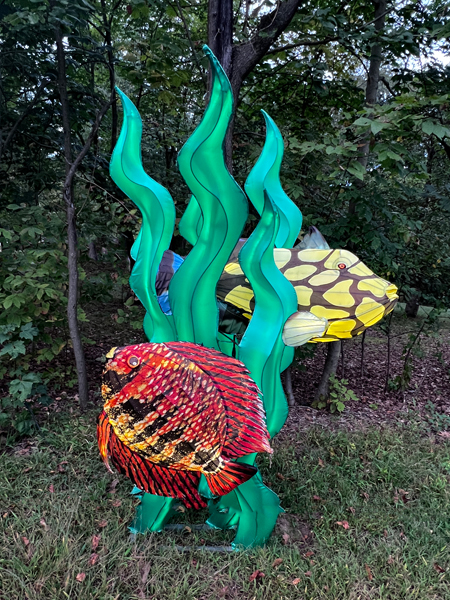 fish