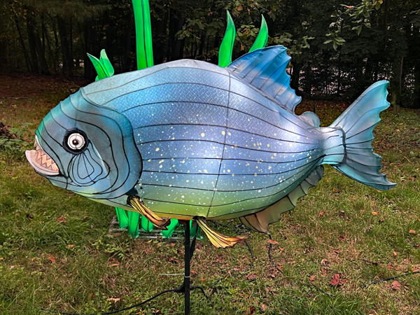 fish
