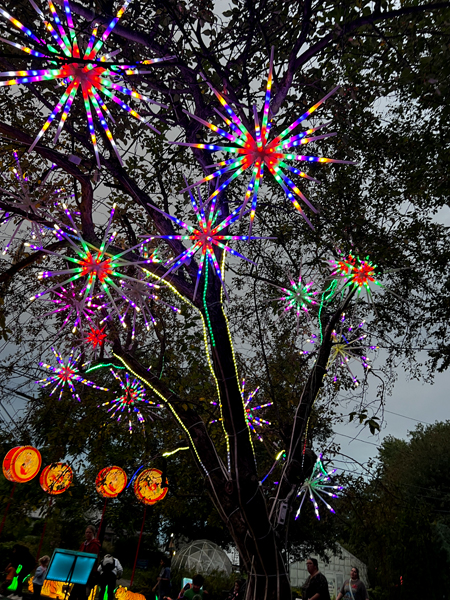 Night view of the sparking tree 