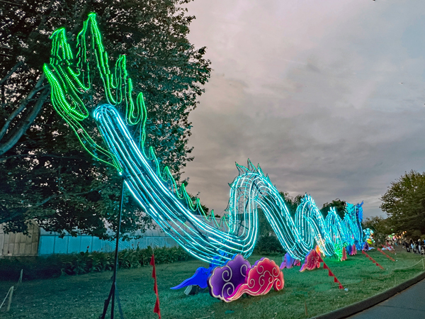 Light Sculpture Dragon  at night time