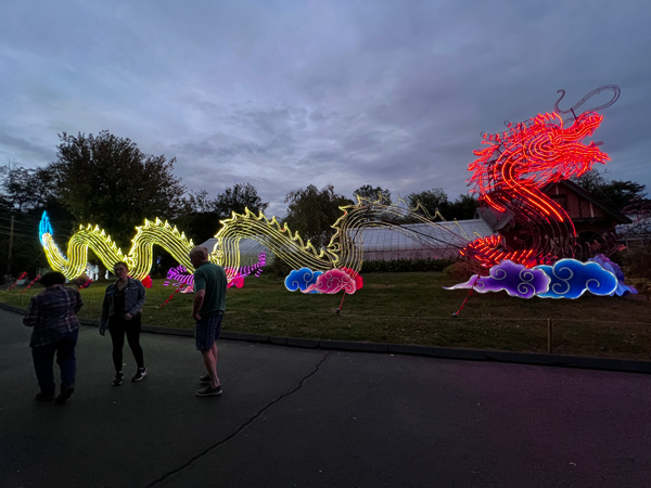 Light Sculpture Dragon  at night time