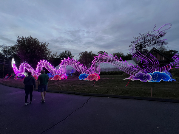 Light Sculpture Dragon  at night time