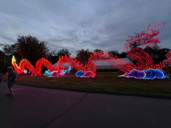 Light Sculpture Dragon  at night time