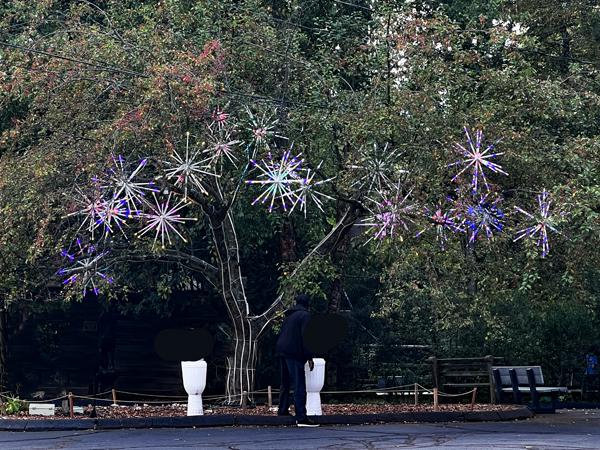 Tree of LIfe 