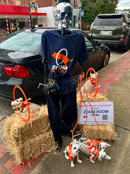 Bernie McBones - Dog Trainer