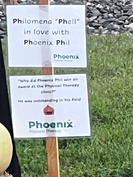 Phoenix PT