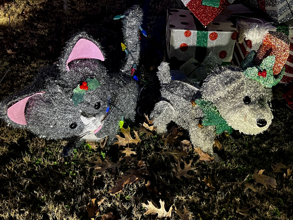 Christmas cat and dog