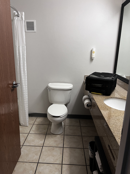The Bathroom