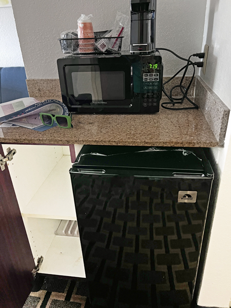 Microwave and Refrigerator