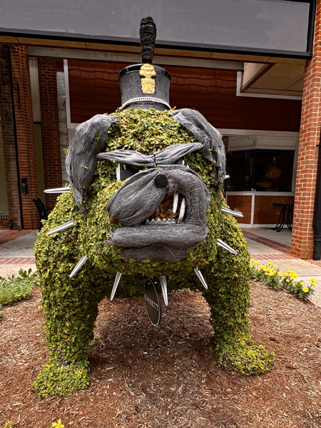 Emmett The Citadel Bulldog 