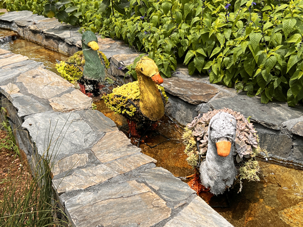 three Dabbling Ducks
