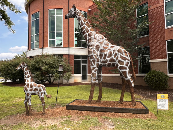 Gertie and Gidget, Mama and Baby Giraffes