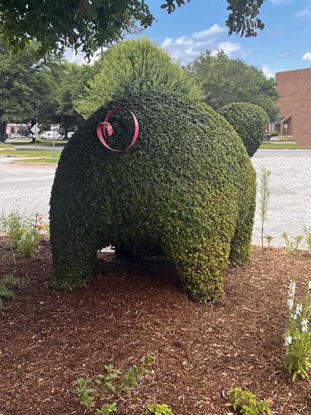 Barbie-Q the Pig's butt