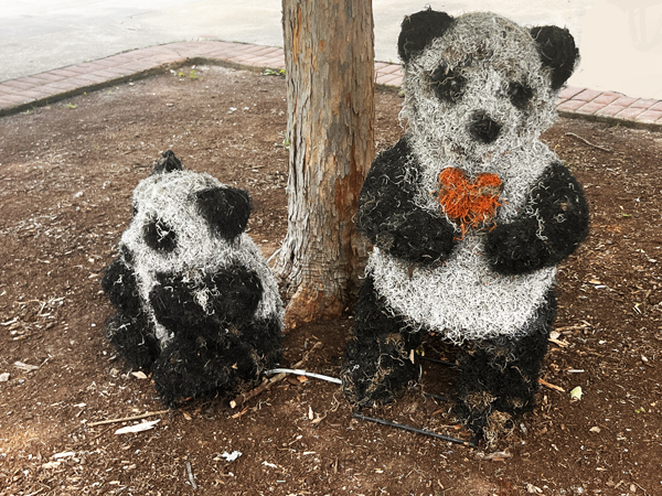 The Playful Panda Family
