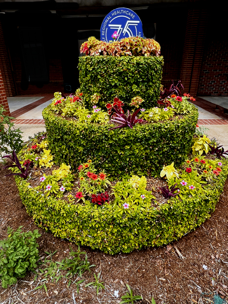 Celebration Cake made of plants