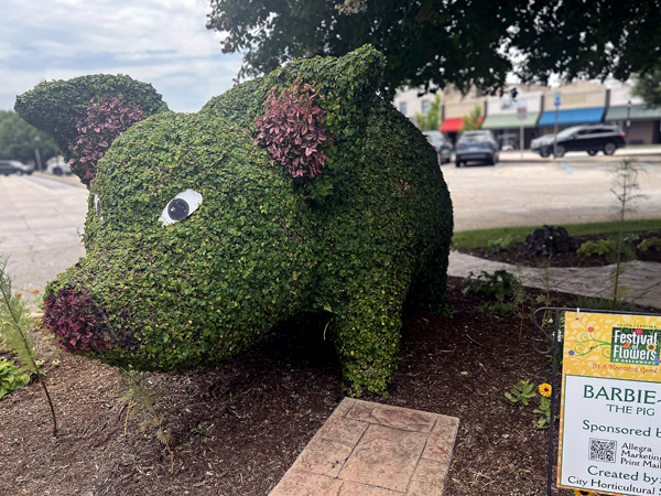 Barbie-Q the Pig 