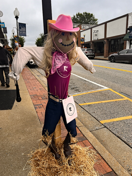 Scarecrow #13