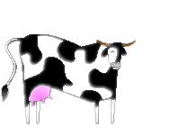animated cow