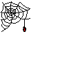 spider web