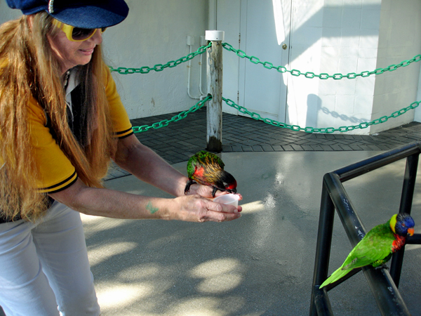 Karen Duquette holds and feeds the birds.