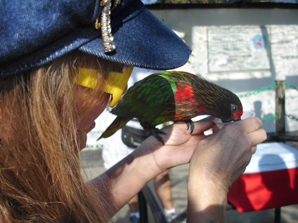 Karen Duquette holds and feeds the birds.