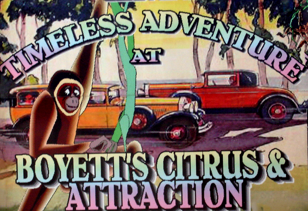 Boyetts Citrus