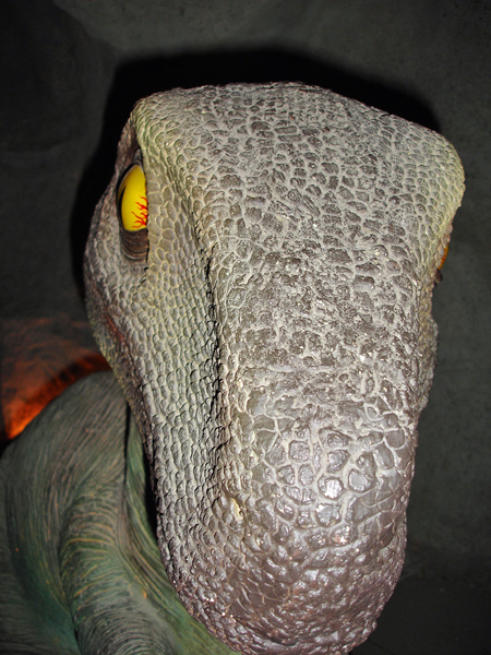 dino