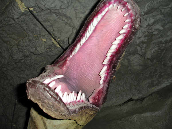 dino mouth