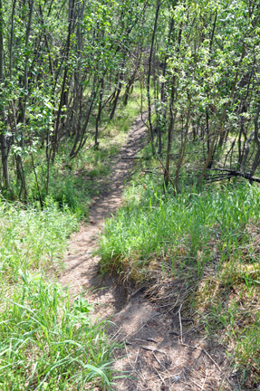 trail by the lunch spot of the two RV Gypsies