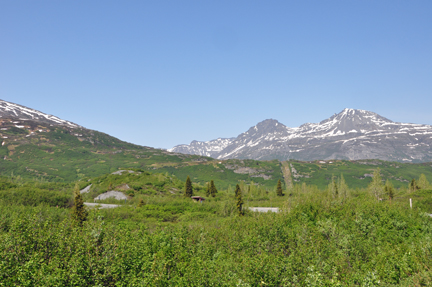 trees and mountain & the road