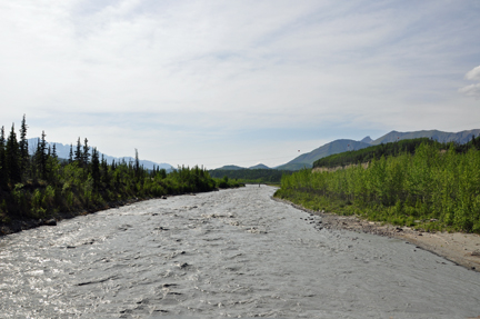 river view from the bridge