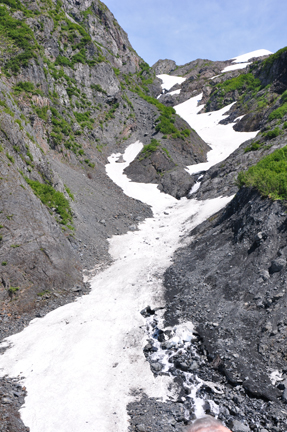 an avalanche area