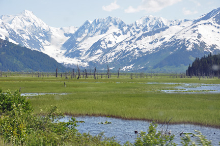 beautiful scenery