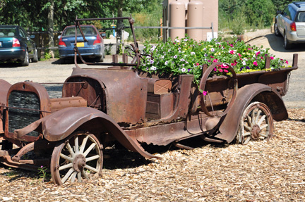 car planter