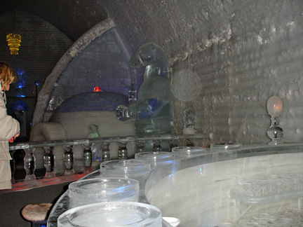 ice bar, bear, igloo