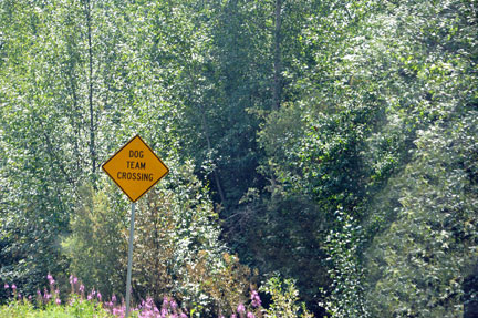 sign - dog team crossing