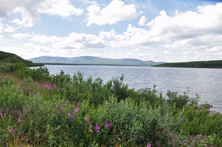 Summit Lake & fireweed