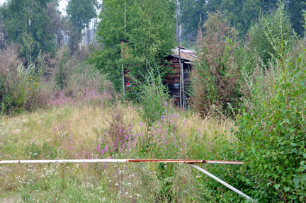 close up of the cabin