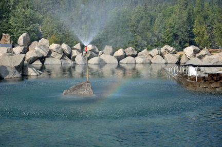 rainbow