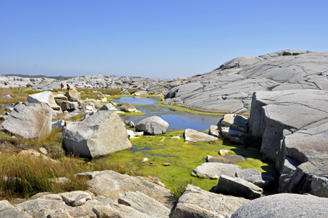 an especially colorful at Peggy's Cove