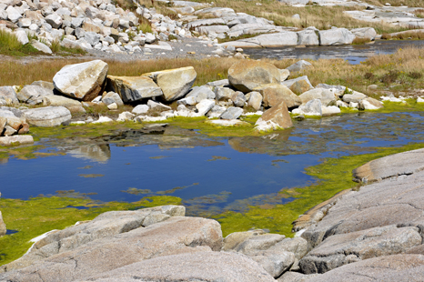 an especially colorful at Peggy's Cove