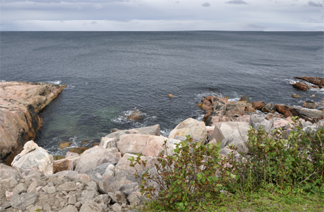 beautiful scenery at Cape Breton Highlands National Park