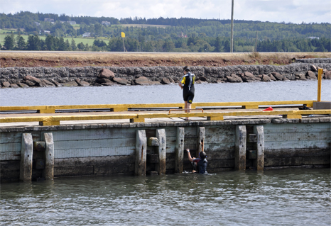 Chidren swimming in the cold water by the wharf 