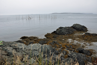 a fish weir by the lighthouse