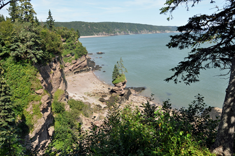 Flower Pot Rock on the Fundy Trail