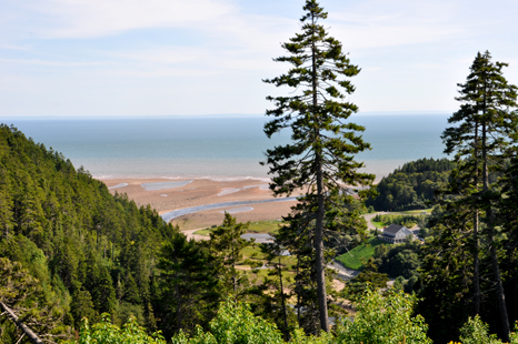 Cranberry Brock Lookout