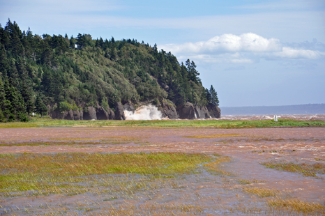 water covers the marsh