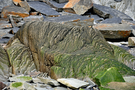 Some of the rocks have amazing shapes, colors and lines.