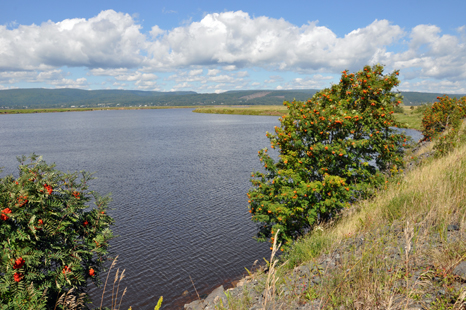 beautiful scenery beside Anderson Hollow Lighthouse