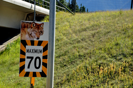 sign - speed limit 70